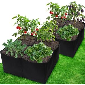 Gardzen 2 Pack Fabric Raised Garden Beds, 2x2x1 FT – 4 Grids Grow Bed for Square Foot Gardening, Planting Box for Vegetables, Herbs, Flowers