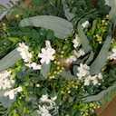 30inch Eucalyptus Wreath for Front Door - Large Artificial Greenery Outdoor Wreath, Spring Summer Decor Door Wreath with Olives Leaves,Mixed Berry for Porch,Window, Farmhouse, Home,Holiday, Hanging