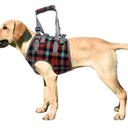 ROZKITCH Dog Lift Harness, Grid Pet Chest Support Aid Veterinarian Approved Sling for Old K9 Help with Poor Stability, Front Legs Disabled Joint Injury Elderly Arthritis ACL Rehabilitation Rehab. Size XL