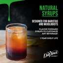 DaVinci Gourmet Naturals Turkish Hazelnut Syrup, 25.4 Fluid Ounces (Pack of 1) (EXP 02/13/26)