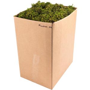SuperMoss (23806) Mountain Moss – Natural Green Sphagnum Moss for Soil Top Dressing, Potting Mix, Garden Decor, and Craft Projects, 2,588 cu in, Preserved