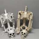 CAMIRUS 5.4ft Skeleton Halloween Decoration, Life Full Size Skeleton with Dog Skeleton, Posable Human Skeletons Realistic Plastic Bones for Halloween Haunted House Scary Decor