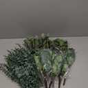 Giegxin 180 Pcs 3 Kinds Mixed Eucalyptus Leaves Stems Bulk Artificial Silver Dollar Leaves Picks Dried Eucalyptus Bundle Faux Spray for Wedding Vase Bouquet Floral Arrangement (Green)