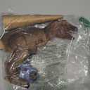 Discovery Remote Control T-Rex Dinosaur  Realistic Jurassic RC Action Figure with Walking Legs, Roaring Sounds, Chomping Mouth| Dinosaur Toys for Kids| Boys Toys RC Car Gift| Fun Dino for Ages 6+