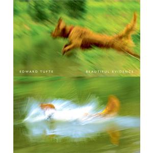 Beautiful Evidence Paperback
