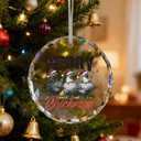 ZOFGUO Chicken Christmas Ornament, Funny Santa Chicken Clear Christmas Ornaments Decorations, Farm Xmas Hen Rooster Holiday Decorative Hanging Glass Ornament for Xmas Tree Car Holiday Decor