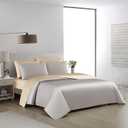 Casabolaj 3 Pieces Luxury Reversible Duvet Cover Set 800TC 100% Pima Cotton YKK Hidden Zipper Closure (Light Grey & Champagne, Queen for 3PCS Duvet Cover Set)