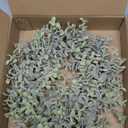 Olive Stems 3 Pcs 39 inch Artificial Olive Green Leaves Picks, Spring Branches Decor for Vase, Greenery Vase Filler Home Decoration Indoor