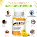 Mullein Gummies for Clear Lungs, 10 in 1 Mullein Leaf Extract for Lungs, Mullein Quercetin Gummies for Lung Cleanse, Respiratory, Immunity, Mango Flavor, 120 Count