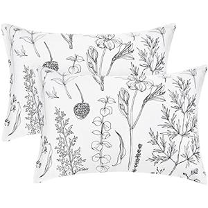 EXQ Home Pillowcase Silky Satin Pillowcase for Hair and Skin, Soft Cooling Printed Pillow Cases Queen Size Set of 2 Satin Pillow Case with Envelope Closure Flowers with White Background