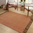 Collive Comfy Area Rug 4' x 6', Terra Woven Cotton Bedroom Rugs, Modern Indoor Accent Rug Floor Carpet with Tassel for Living Room, Nursery Room, Dining Room, Bedside