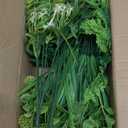 TURNMEON Artificial Plants Outdoor Fake Plants UV Resistant No Fade 12 Bundles 4 Styles Faux Plant Plastic Greenery Shrubs Boston Fern Lavender for Outside Gardens Porch Patio Indoor Home Decor