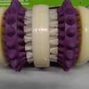 PetSafe Busy Buddy Bristle Bone - Chew Toy for Dental Health Support - Durable Dog Plaything for Tough Chewers - Includes 4 Refillable Treat Rings - Safe Chew Toy for Large Dogs (50-90 lbs) (Large (Pack of 1))(BB: 03/28/2027)