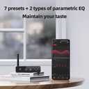 FiiO BR13 HiFi Bluetooth 5.1 Music Receiver Long Range Bluetooth Adapter with USB DAC, LDAC/aptX Low Latency, OLED Display & RCA Optical Coaxial Output for Home Stereo,PC/TV