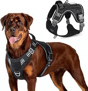 rabbitgoo Tactical Dog Harness for Large Dogs, No Pull Military Service Vest with Handle & Molle, Easy Control for Training Walking, Adjustable Reflective Straps, Green, XL