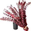 (20Pcs) Dried Eucalyptus Stems - Red, Fall Decorations for Home, Real Long Eucalyptus, Dried Flowers for Vase, 17" Floral Arrangement, Wedding
