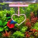 Floating Heart Betta Training Ring, Heart Active Betta Training Floating Ring, Floating Feeder, Betta Loops for Aquarium Decor, Pink, 3.8in x 3.7in (Pink, Single)