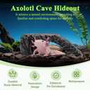 Axolotl Cave Axolotl Hides for Aquarium & Terrarium, Shelter for Pleco, Crabs, Fish, Turtles, Betta, Geckos, Frog, Resin Tank Decor