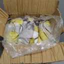 Madison Park Bed in A Bag-Trendy Casual Design Cozy Comforter with Complete Sheet Set with Side Pocket, All Season Cover, Matching Shams, Full, Leaf Yellow 9 Piece
