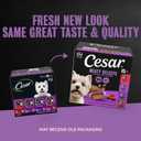 Cesar Classic Loaf in Sauce Wet Dog Food, Beef Recipe, Filet Mignon Flavor, Grilled Chicken Flavor, and Porterhouse Steak Flavor, 3.5 oz. Easy Peel Trays, Variety Pack (24 Count, Pack of 1) (EXP 12/01/27)