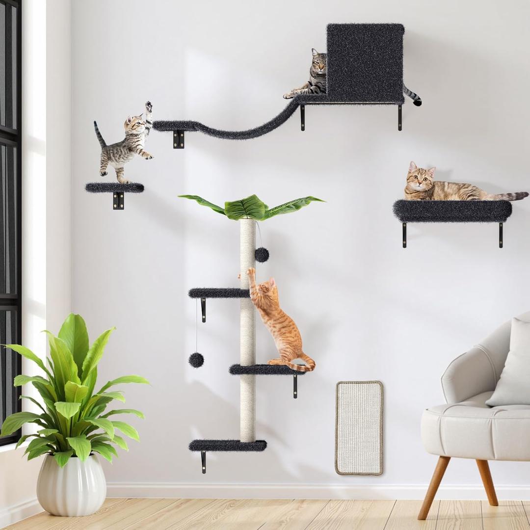 5-in-1 Cat Wall Shelves for 16 Inch Drywall: Space-Saving Wall Mounted Cat Shelves with Climbing, Perch & Lounge (Dark gray)