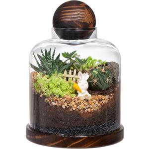 Yangbaga Large Glass Terrarium Succulent Plant Terrarium House for Plant/Moss Ball/Glass Fish Tank Mini Table with Wood Base & Ball lid Office Home Decoration