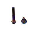 Rison Titanium Flanged Hex Head Bolt M10x1.25x25mm 6AL4V Aerospace Grade Ti Burnt Blue for Motorcycle Car Modification - Pack of 5 (Black)