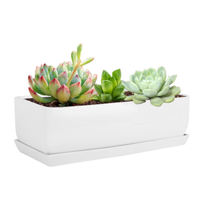 Vencer 14 Inch Rectangular Modern Minimalist Ceramic Succulent Planter Pot  Window Box with Saucer,Office Desktop Potted Stand,White,VF0173W