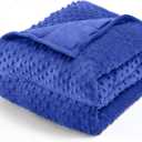 Wemore Minky Dot Weighted Blanket for Adults Queen Size 15 lbs, Soft Cozy Heavy Blanket for Bed and Couch, Breathable Blanket for All-Season with Glass Beads, Blue 60 x 80 inches