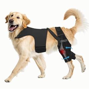 Pawfun Dog Knee Brace for Torn ACL Hind Leg, 122-L-7