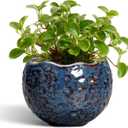 Ceramic Pots for Plants - 4 Inch Plant Pots for Indoor Outdoor, Small Planter with Drainage Hole, Unique Flower Pot, Decorative Modern Round Planter, Office Decor, Home Gifts, Retro Blue, 4.5 Inch