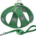 AIITLE Comfortable Dog Harness and Leash Set for Walking - Step in Vest Harness,Reflective Bands, Adjustable No Pull Puppy Essentials, for Small Dogs and House Cats Green XS
