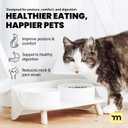 MalsiPree Elevated Dog Bowls - Puppy Adoption Gifts & Cute Puppy Accessories - 45 Tilt Feeding Station with Ceramic Dishes - Food and Bowls Set - Dog Birthday Gifts for Small Pets - Sand Beige