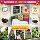 15 x 20 Vegetable Seeds Variety Pack - 12,465+ Non-GMO Heirloom Seeds for Planting Vegetables and Fruits in Individual Seed Packets, Home Garden Seed for Hydroponic, Indoor and Outdoors Gardening
