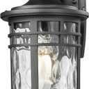 Darkaway Outdoor Porch Lights Wall Mount, Outside Light Fixtures Sconces Wall Lighting with Water Ripple Glass Waterproof Exterior Lights for Patio Yard House Hallway Doorway Garage (Medium)