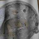 2Pack Glass Pendant Lights Kitchen Island, 11.8" Vintage Lighting Glass Light Fixtures Brushed Gold Modern Chandelier Hanging Ceiling for Dining Living Room Restaurant Bedroom Foyer, 12in/2PC