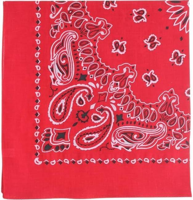 Trainmen Paisley Bandanas Scarf Do-rag Cotton Biker Head Rags Classic Bandanna 22" x 22" (12 Pack)