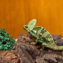 Kisangel Reptile Bark Climbing Platform and Hideout Hut - Natural Terrarium Decoration for Snake Lizard Gecko Tanks - Multi-Functional Habitat Accessory for Climbing Hiding Exploration