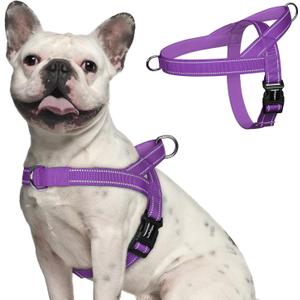 rabbitgoo Dog Harness No Pull, Quick Fit for Large Dogs with Soft Padded Handle, Chest Adjustable Reflective Pet Vest, No Choke Escape Proof for Walking Training, Purple M