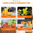 Heavy-Duty Stainless Steel Lemon Squeezer Handheld Citrus Press for Effortless Juicing