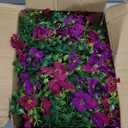 INQCMY Artificial Hanging Flowers with Basket for Spring Outdoor Decoration 3 Bunches of Silk Daisy Flower Uv Resistant for Garden Porch Patio Balcony Yard Decor (Purple Red)