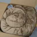 Bedsure GentleSoft Sherpa Fleece Throw Blanket for Couch, Non-Heated, Thick and Warm Throw for Women and Men, Soft Fuzzy Plush Kids Blanket for Winter, Camel, 50x60 Inches