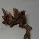 Hamiledyi 5 Pcs Driftwood Branches Aquarium Wood Decoration Natural Fish Tank Habitat Decor Wood for Lizard Assorted Size-Small