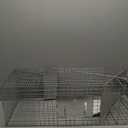 HAVAHART 1079SR Large 1-Door Humane Catch and Release Live Animal Trap Cage - Live Raccoon Trap, for Bobcats, Beavers, Dogs, & More