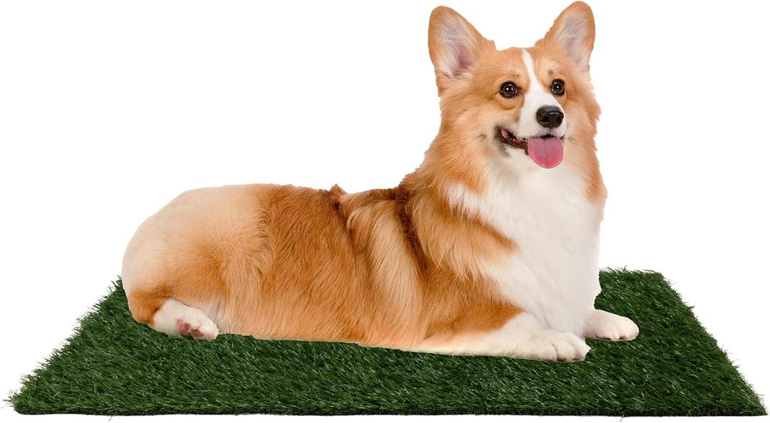 Pee Pads for Dogs - Set of Three 23x18.5-Inch Replacement Turf Grass Mats for Potty Training - Dog Housebreaking Supplies for Small Pets by PETMAKER, Green, Medium