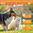 Turmeric Curcumin for Dogs  Hip & Joint Support, Heart & Immune Health Supplement, Immune System Booster, Joint Care for All Breeds & Ages, 60 Chewable Tablets