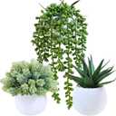Winlyn Set of 3 Assorted Artificial Succulent Plants in White Concrete Pots Faux Aloe Hops String of Pearls Potted Plants Small Fake Plants for Home Garden Office Desk Counter Shelf Windowsill Decor