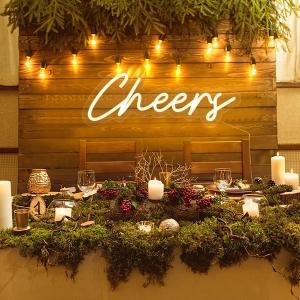 Cheers Neon Sign USB Powered with Dimmable Switch,LED Neon Light Sign for Wall Background Decor,Cheer Light Up Sign Neon for Bar Birthday Party Wedding 16.5 * 7in, Warm White