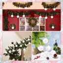 12 Pcs Pink Bow Coquette Christmas Tree Ornaments Balls 2.4 Inch Pink White Christmas Tree Hanging Ornaments Plastic Ball with Ribbon for Xmas Tree Winter Bachelorette Party Holiday Home Decorations