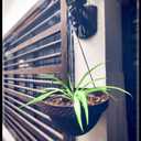 Set Of Two 13 IN Hanging Ceiling Planters, Indoor Or Outdoor Hanging Planters With Ropes, Durable Plastic Planter With A Rattan Appearance In Chocolate Color, Hanging Planter For Trailing Plants